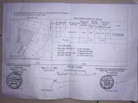 6230m2 đất lúa mặt tiền lộ nhựa thích hợp xây nhà xưởng. TP Tân An LA 6230m2 đất lúa mặt tiền lộ nhựa thích hợp xây nhà xưởng. TP Tân An LA