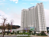 Cho thuê mặt bằng shophouse dự án The Sapphire Residences Hạ Long 300m Cho thuê mặt bằng shophouse dự án The Sapphire Residences Hạ Long 300m