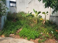 85m2 đất nở hậu trong Khu Dân Cư Nguyễn Văn Tạo, Nhà Bè, SHR, 2 tỷ 465 85m2 đất nở hậu trong Khu Dân Cư Nguyễn Văn Tạo, Nhà Bè, SHR, 2 tỷ 465