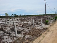 Đất nền đầu tư biển LaGi vị trí đẹp, rẻ Đất nền đầu tư biển LaGi vị trí đẹp, rẻ