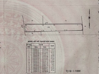 Đất 1562m2 khu dân cư mới, 3.7 tỷ, gần Cầu Xáng, đầu tư tốt Đất 1562m2 khu dân cư mới, 3.7 tỷ, gần Cầu Xáng, đầu tư tốt