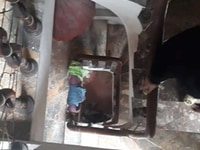 Bán nhà phố Trần Thái Tông. Nhà đẹp, giá rẻ, 50m2x5T, MT5.3m, 3.7 tỷ Bán nhà phố Trần Thái Tông. Nhà đẹp, giá rẻ, 50m2x5T, MT5.3m, 3.7 tỷ