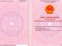 Bán gấp biệt thự khu biệt thự 91 Hòa Hưng, phường 12, Quận 10 Bán gấp biệt thự khu biệt thự 91 Hòa Hưng, phường 12, Quận 10