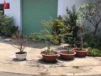 Bán nhà Nguyễn Minh Đường,Tân An,106m2 Bán nhà Nguyễn Minh Đường,Tân An,106m2