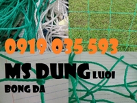 Lưới bóng đá quây sân giá rẻ, lưới khung thành gôn mini 3mx2mx1m Lưới bóng đá quây sân giá rẻ, lưới khung thành gôn mini 3mx2mx1m