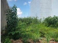 Lô đất đẹp, 300m2 thổ cư MT đường số 1 phường 6 Tân An Lô đất đẹp, 300m2 thổ cư MT đường số 1 phường 6 Tân An