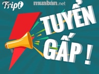 Công ty cần tuyển gấp nhân viên văn phòng Công ty cần tuyển gấp nhân viên văn phòng