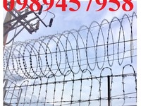 Thi công lắp đặt hàng rào thép gai hình dao Thi công lắp đặt hàng rào thép gai hình dao