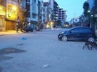 Mặt phố Bà Triệu Hà Đông 159m2*9T, MT 10m, 28 tỷ, KD doanh thu Khủng. Mặt phố Bà Triệu Hà Đông 159m2*9T, MT 10m, 28 tỷ, KD doanh thu Khủng.