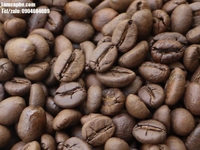 Cung cấp giá sỉ cà phê robusta nguyên chất loại 1 tại Bình Dương Cung cấp giá sỉ cà phê robusta nguyên chất loại 1 tại Bình Dương