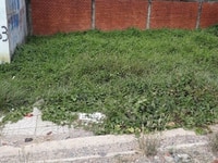 Cần bán gấp đất MT đường Hoà Bình,Tân Phú,SHR,75m2 Cần bán gấp đất MT đường Hoà Bình,Tân Phú,SHR,75m2