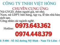 Công ty TNHH Việt Hồng, chuyên cung ứng nữ GVGĐ, LĐPT Công ty TNHH Việt Hồng, chuyên cung ứng nữ GVGĐ, LĐPT