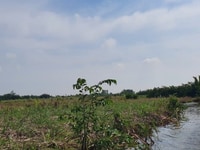Chủ đang kẹt tiền cần bán gấp 1943m đất Phú Đông Nhơn Trạch,SHR,có TL Chủ đang kẹt tiền cần bán gấp 1943m đất Phú Đông Nhơn Trạch,SHR,có TL