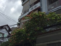 Bán nhà HXH 6m Lạc Long Quân (4,6x15m) Bán nhà HXH 6m Lạc Long Quân (4,6x15m)