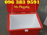Thùng giữ lạnh 100l có bản lề bảo quản thực phẩm Thùng giữ lạnh 100l có bản lề bảo quản thực phẩm