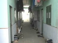 Cần Bán 2 Dãy trọ 14 phòng đang cho thuê 22 triệu/tháng, sổ hồng riêng Cần Bán 2 Dãy trọ 14 phòng đang cho thuê 22 triệu/tháng, sổ hồng riêng