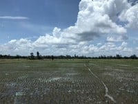 Bán 15.572m² đất mặt tiền QL 61C đoạn Năm Ngàn Rưỡi, đông nam, 650tr/1 Bán 15.572m² đất mặt tiền QL 61C đoạn Năm Ngàn Rưỡi, đông nam, 650tr/1