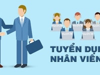 Nhân Sự Nhân Sự Tư Vấn Viên Nhân Sự Nhân Sự Tư Vấn Viên