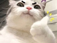 Tiền cần Thu và Thu thì cần Thu Ngân Tiền cần Thu và Thu thì cần Thu Ngân