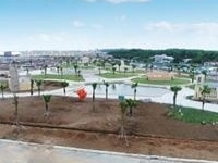 Đất nền vị trí cực đẹp shr đối diện chợ đêm chỉ 999tr Đất nền vị trí cực đẹp shr đối diện chợ đêm chỉ 999tr