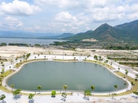 Golden Bay 602 chính chủ bán gấp giá rẻ hơn thị trường chênh lệch tốt Golden Bay 602 chính chủ bán gấp giá rẻ hơn thị trường chênh lệch tốt