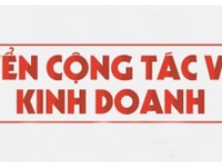 Cần 5 nam/ nữ đối tác kinh doanh làm việc tại văn phòng Cần 5 nam/ nữ đối tác kinh doanh làm việc tại văn phòng