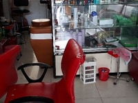 Mình cực kì dễ tính.mình đang cần thợ gấp Mình cực kì dễ tính.mình đang cần thợ gấp