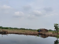 Chủ ký gửi bán 1000m2 Phú Đông-Sổ hồng riêng-Làm việc trực tiếp chủ Chủ ký gửi bán 1000m2 Phú Đông-Sổ hồng riêng-Làm việc trực tiếp chủ