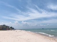 Nền đường Hùng Vương 1000m2(100m2 thổ) Giá 1.6 tỷ SHR công chứng ngay Nền đường Hùng Vương 1000m2(100m2 thổ) Giá 1.6 tỷ SHR công chứng ngay