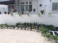 Cần Bán căn hộ ở ngay, đã có Sổ Hồng,3PN, 2WC Cần Bán căn hộ ở ngay, đã có Sổ Hồng,3PN, 2WC