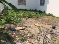 Cần bán gấp lô đất 100m2 đường hẻm Tây Thạnh, xây nhà, đầu tư, xây trọ Cần bán gấp lô đất 100m2 đường hẻm Tây Thạnh, xây nhà, đầu tư, xây trọ