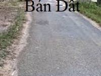 Tôi chính chủ cần bán gấp 1 sào đất 500tr, SHR Tôi chính chủ cần bán gấp 1 sào đất 500tr, SHR