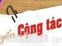 Cần tìm Đối tác hợp tác kinh doanh Cần tìm Đối tác hợp tác kinh doanh