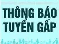 Cần cộng sự hợp tác kinh doanh làm tại văn phòng Cần cộng sự hợp tác kinh doanh làm tại văn phòng