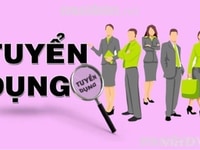 Cần tuyển gấp 02 nhân viên văn phòng Cần tuyển gấp 02 nhân viên văn phòng