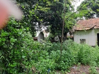 Sang nhượng ngay 1000m2 đất thổ cư vị trí tuyệt đẹp, Xã Cổ Đông. Sang nhượng ngay 1000m2 đất thổ cư vị trí tuyệt đẹp, Xã Cổ Đông.