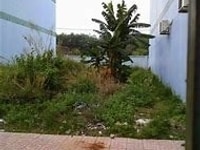 Cuối tháng 9 định cư tôi bán gấp lô đất 500m2(có thổ 100m2),CỦ CHI Cuối tháng 9 định cư tôi bán gấp lô đất 500m2(có thổ 100m2),CỦ CHI
