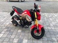 Honda MSX 125 chính chủ mới mua 2019 đi 3000km Honda MSX 125 chính chủ mới mua 2019 đi 3000km