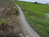 Bán nhanh lô đất 1601m2 Phước Khánh-Giá chính chủ,sổ hồng riêng-Có TL Bán nhanh lô đất 1601m2 Phước Khánh-Giá chính chủ,sổ hồng riêng-Có TL