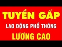 Cần tuyển gấp 4 nam đứng máy ép nhựa lương tuần khởi điểm 9 triệu. Cần tuyển gấp 4 nam đứng máy ép nhựa lương tuần khởi điểm 9 triệu.