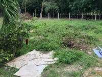 Đất nền ấp B, xã Tiên Thuận, huyện Bến Cầu, tỉnh Tây Ninh Đất nền ấp B, xã Tiên Thuận, huyện Bến Cầu, tỉnh Tây Ninh