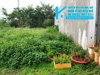 Bán Đất thổ cư 5*19m, hẻm Nguyễn Đình Chiểu, gần Dự Án Trung Nguyên Bán Đất thổ cư 5*19m, hẻm Nguyễn Đình Chiểu, gần Dự Án Trung Nguyên