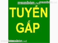 Tuyển nhân viên đứng bán hàng trực tiếp tại quầy siêu thị mini Tuyển nhân viên đứng bán hàng trực tiếp tại quầy siêu thị mini