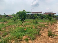 Cần tiền bán gấp lô đất Hương Lộ 7, Bình Lợi, Vĩnh Cửu Cần tiền bán gấp lô đất Hương Lộ 7, Bình Lợi, Vĩnh Cửu