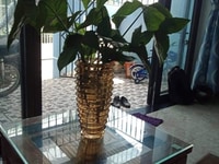 Bán nhanh nhà cấp 4, kiệt Huỳnh Bá Chanh, Ngũ Hành Sơn Bán nhanh nhà cấp 4, kiệt Huỳnh Bá Chanh, Ngũ Hành Sơn