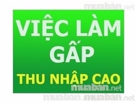 Cần Nam nữ bán hàng tại chỗ cho nhà phân phối Cần Nam nữ bán hàng tại chỗ cho nhà phân phối