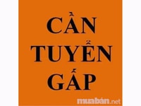 Trực tiếp nhận Nam/nữ ( Trực Điện Thoại tại quầy ) Trực tiếp nhận Nam/nữ ( Trực Điện Thoại tại quầy )