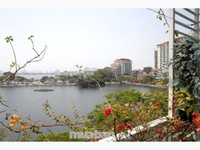 Cho thuê căn hộ Dịch vụ cao cấp Phố Quảng An - Xuân Diệu Cho thuê căn hộ Dịch vụ cao cấp Phố Quảng An - Xuân Diệu