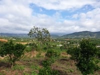 Đất bán gấp đất X Đông Thanh ,H Lâm Hà ,Lâm Đồng ! Đất bán gấp đất X Đông Thanh ,H Lâm Hà ,Lâm Đồng !
