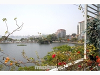 Cho thuê căn hộ mini đường Lạc Long Quân, full nội thất diện tích 40m2 Cho thuê căn hộ mini đường Lạc Long Quân, full nội thất diện tích 40m2